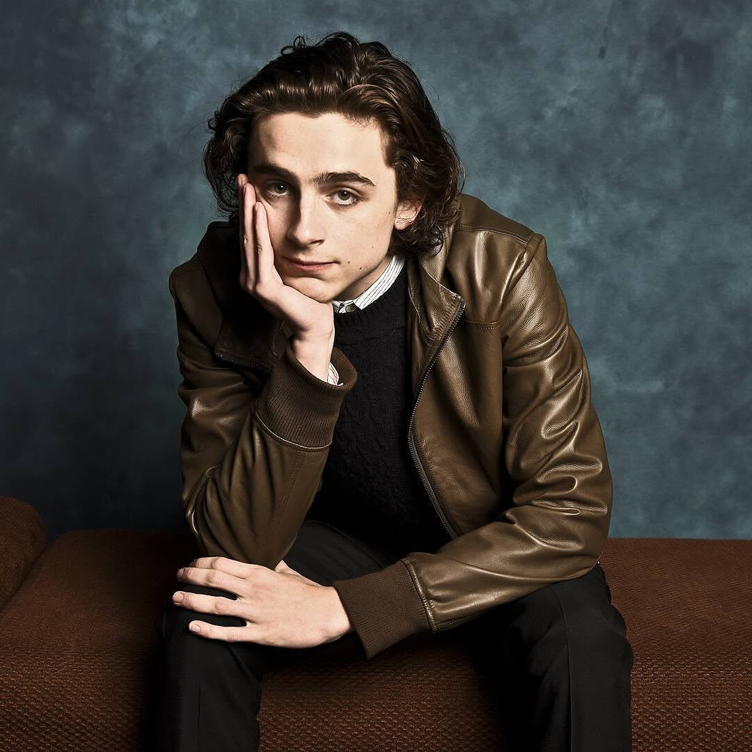 Timothée Chalamet Celebrity Style Brown Leather Jacket