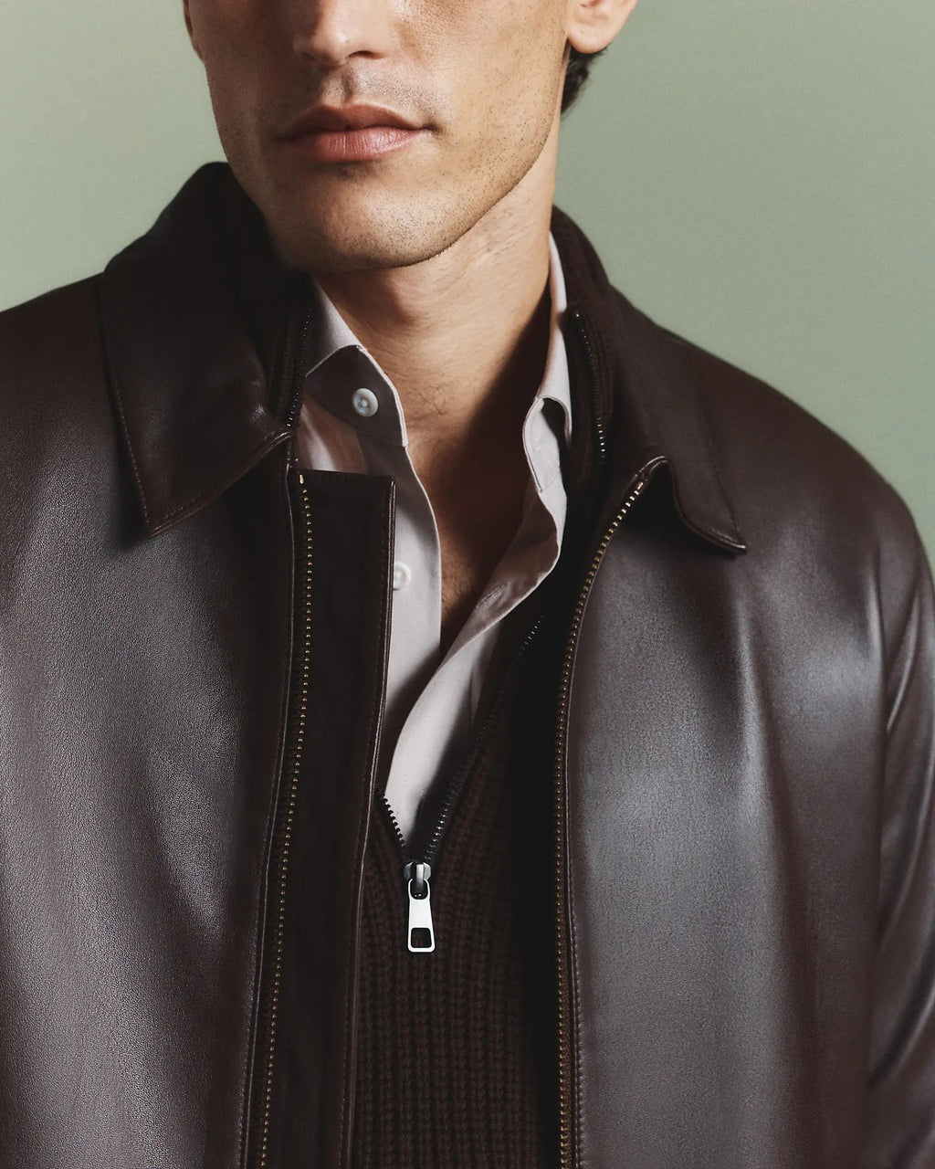 Hollywood Jacket Premium Dark Brown Leather Jacket